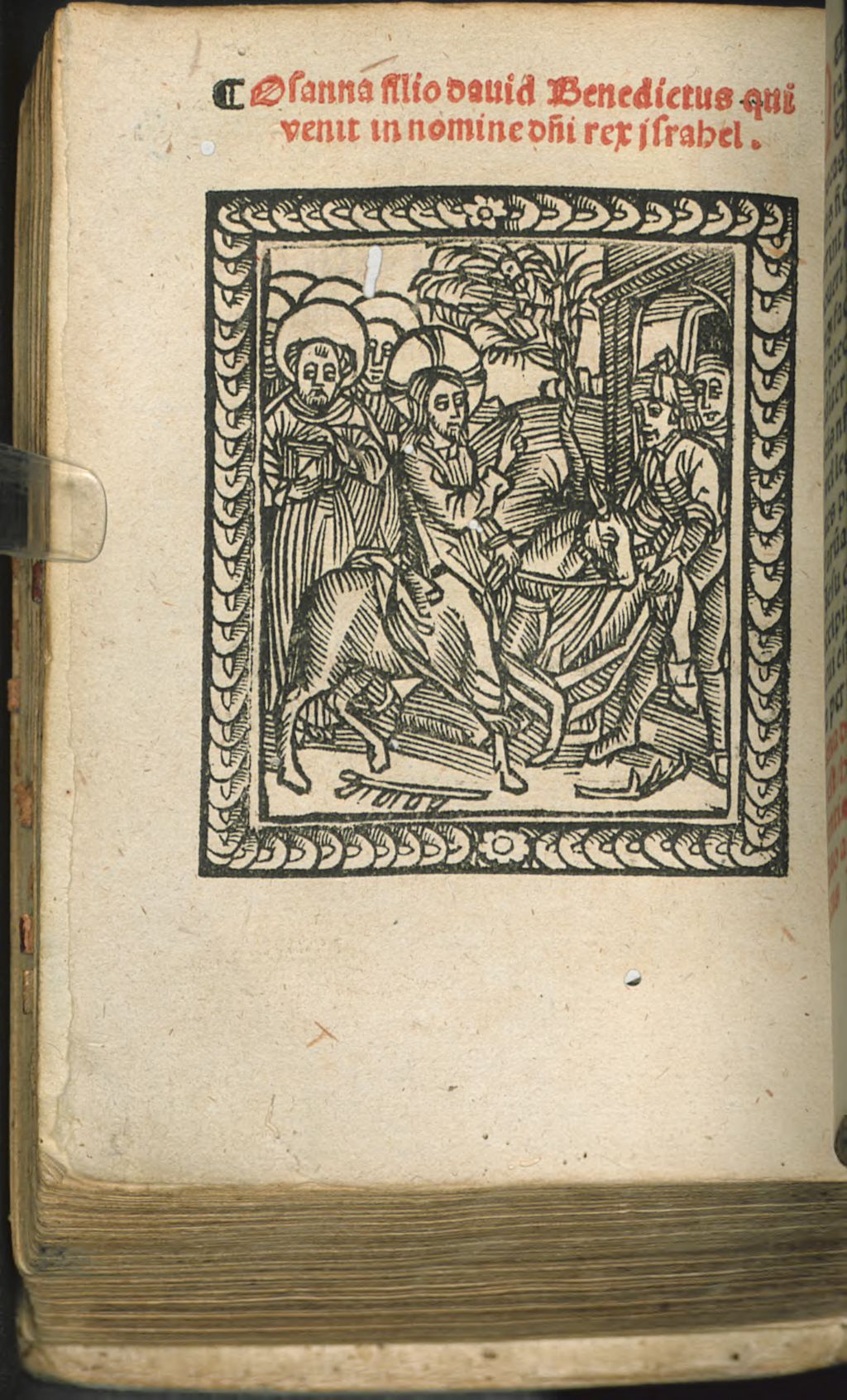 Cover of Cena passio, resurrectioque d[omi]ni