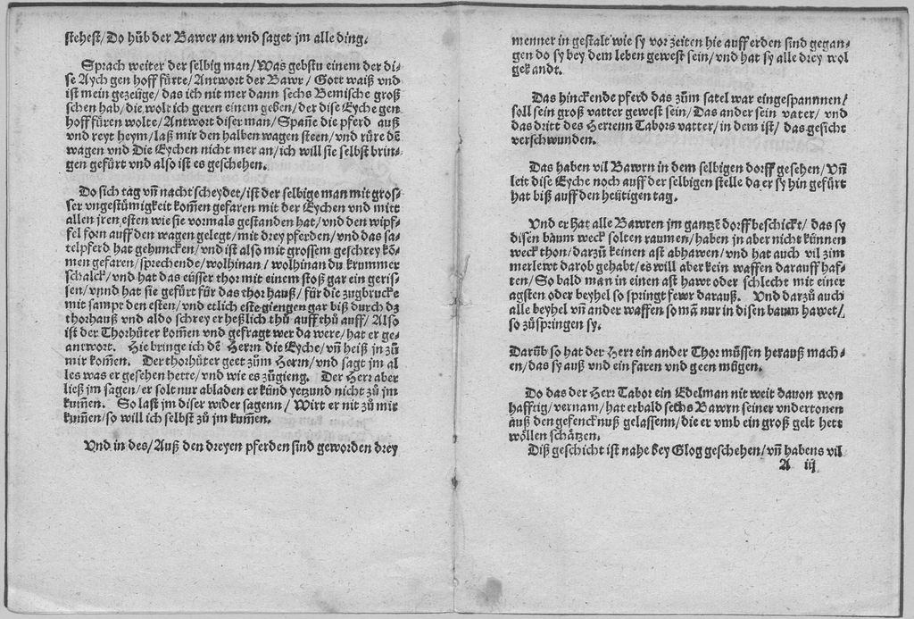 Cover of Wunder newe zeytung, von einem Erbern man in der Schlesien, Wie er seiner armen leüte einen gestrafft hat