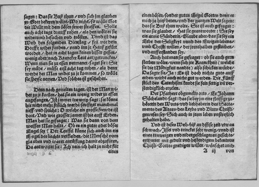 Cover of Ein Wunderbarliche vnud Warhafftige Geschicht, So zu Mechelrode am Sontag Trinitatis diß M.D.LVIII. Jars ergangen
