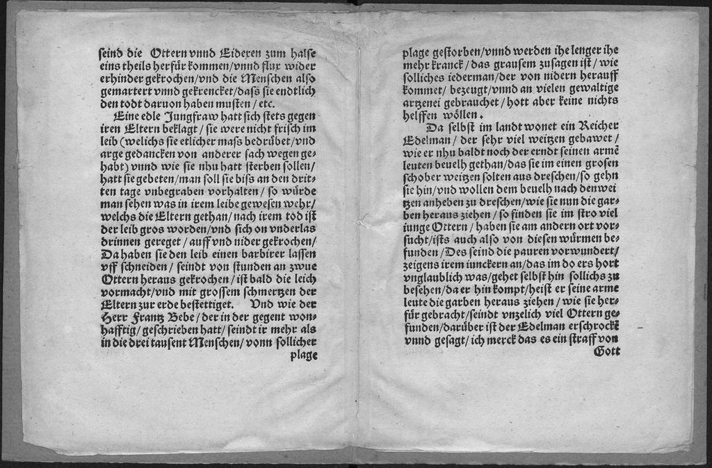 Cover of Eine Warhafftige, Erschreckliche, vnd vnerhorte newe zeittung, so im Lande zu Vngern von Ottergezichte vnd Eidexen diesen Sommer sich zugetragen hatt