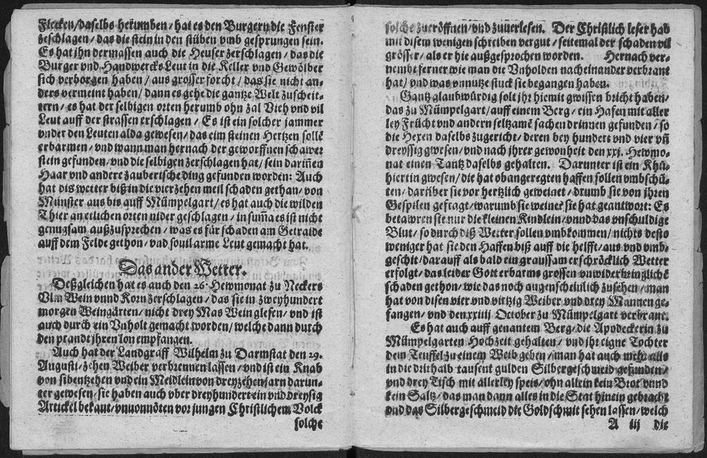 Cover of Warhaffte vnd glaubwirdige Zeytung. Von Hundert vnd vir vnd dreyssig Vnholden, So vmb jhrer Zauberey halben, diß verschinen LXXXII. Jars, zu Gefencknus gebracht, vnd den 15. 19. 24. 28. October vuff jhr vnmenschliche thaten vnd grewliche aussag vnnd Bekandtnus, mit rechtem vhrtheil, zum Fewer verdambt vnnd verbrennet worden