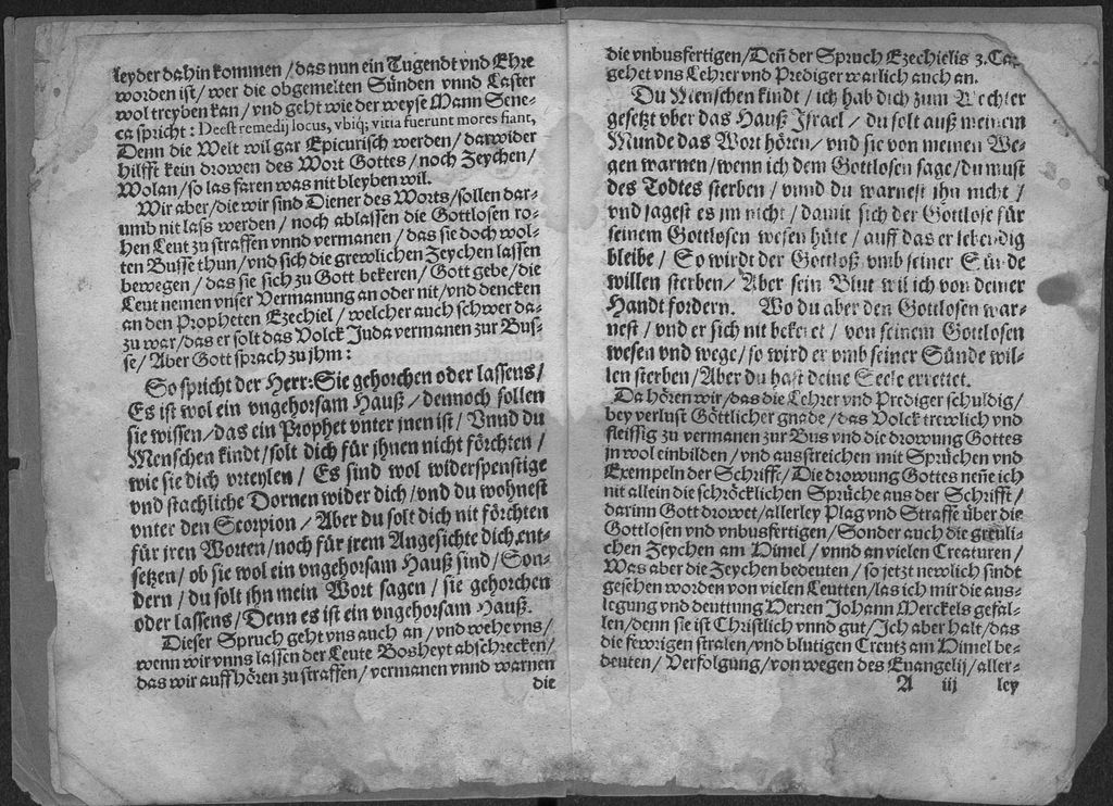 Cover of Ein Ausslegung auff die Himlischen Fewerzeychen, so erschinen vnnd auffgangen sein im Dorff Reychenaw, ein Meyl weges von Camitz gelegen, den 30. Tage des Monats Januarij dises 1560. Jars