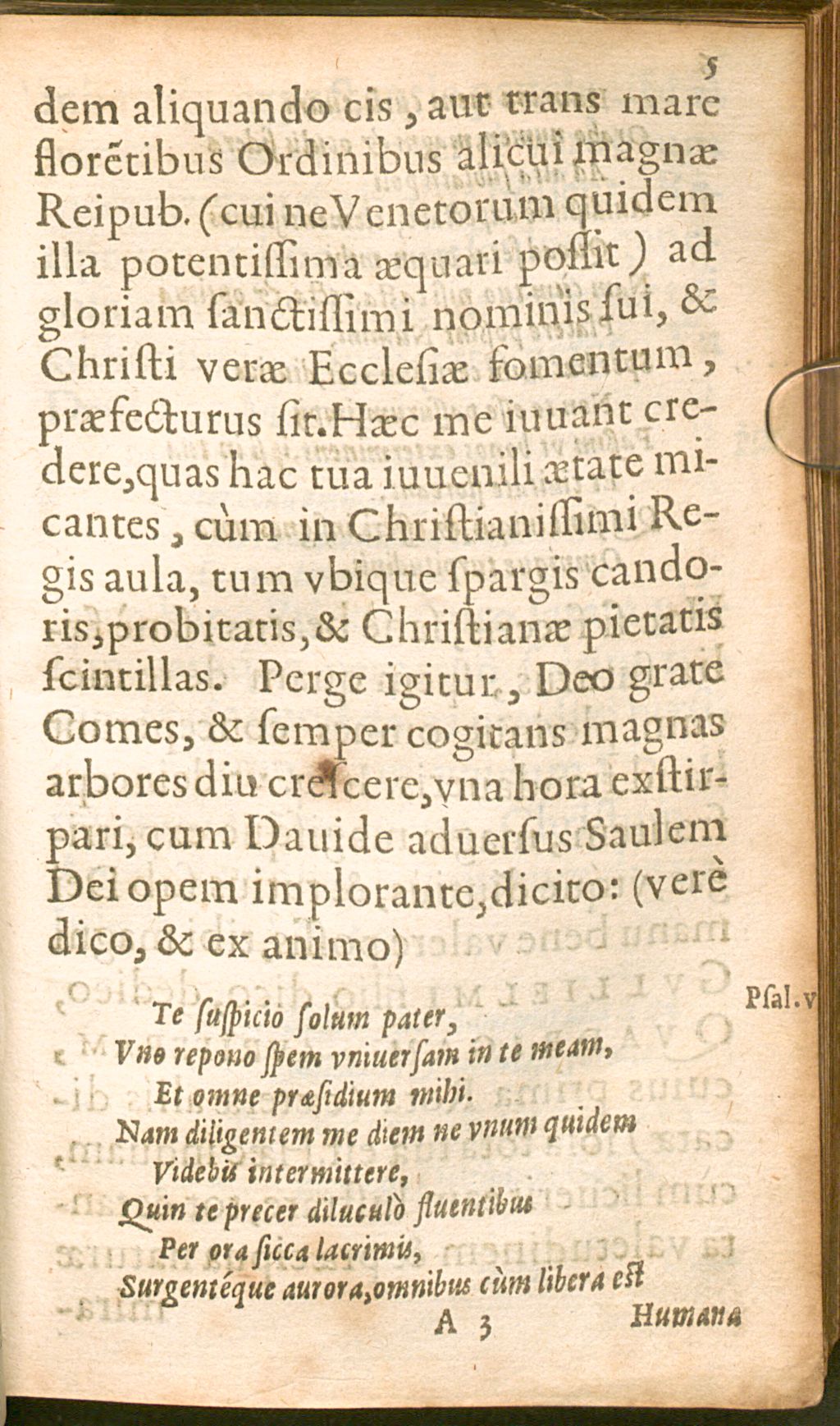 Cover of Qvadriga avrifera