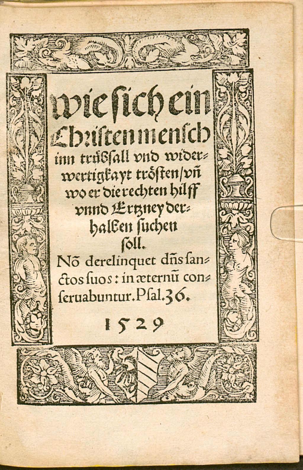 Cover of Wie sich ein Christenmensch inn trübsall und widerwertigkayt trösten