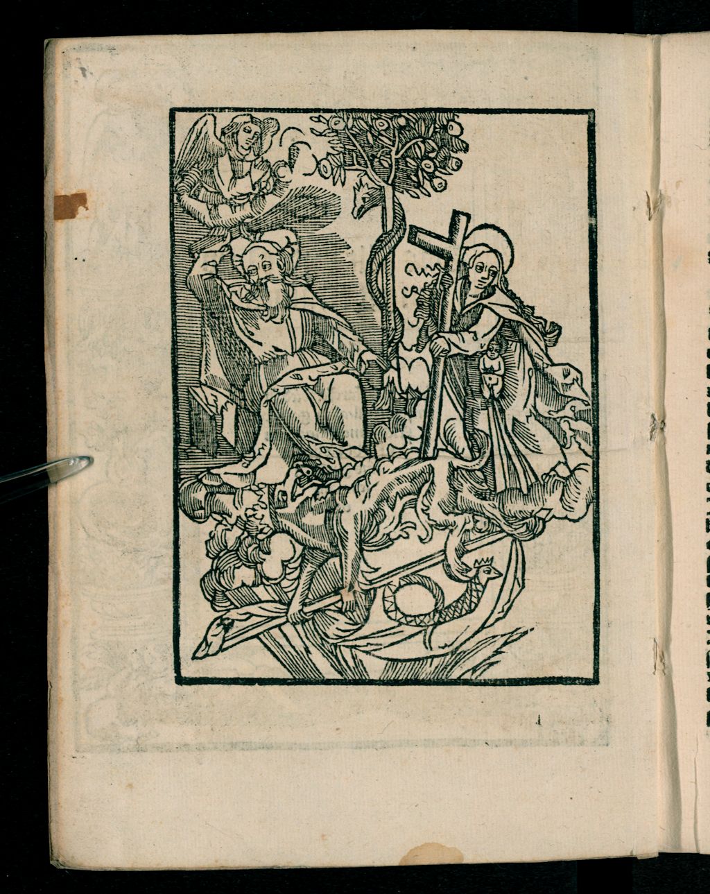 Cover of Das Alt vnd Nuw ewig Testament
