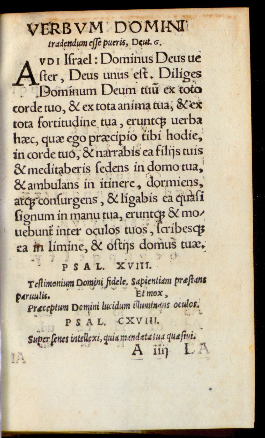Cover of Catechismus pro iuventute Hallensi. Linguae Latinae elementa et alia pleraque