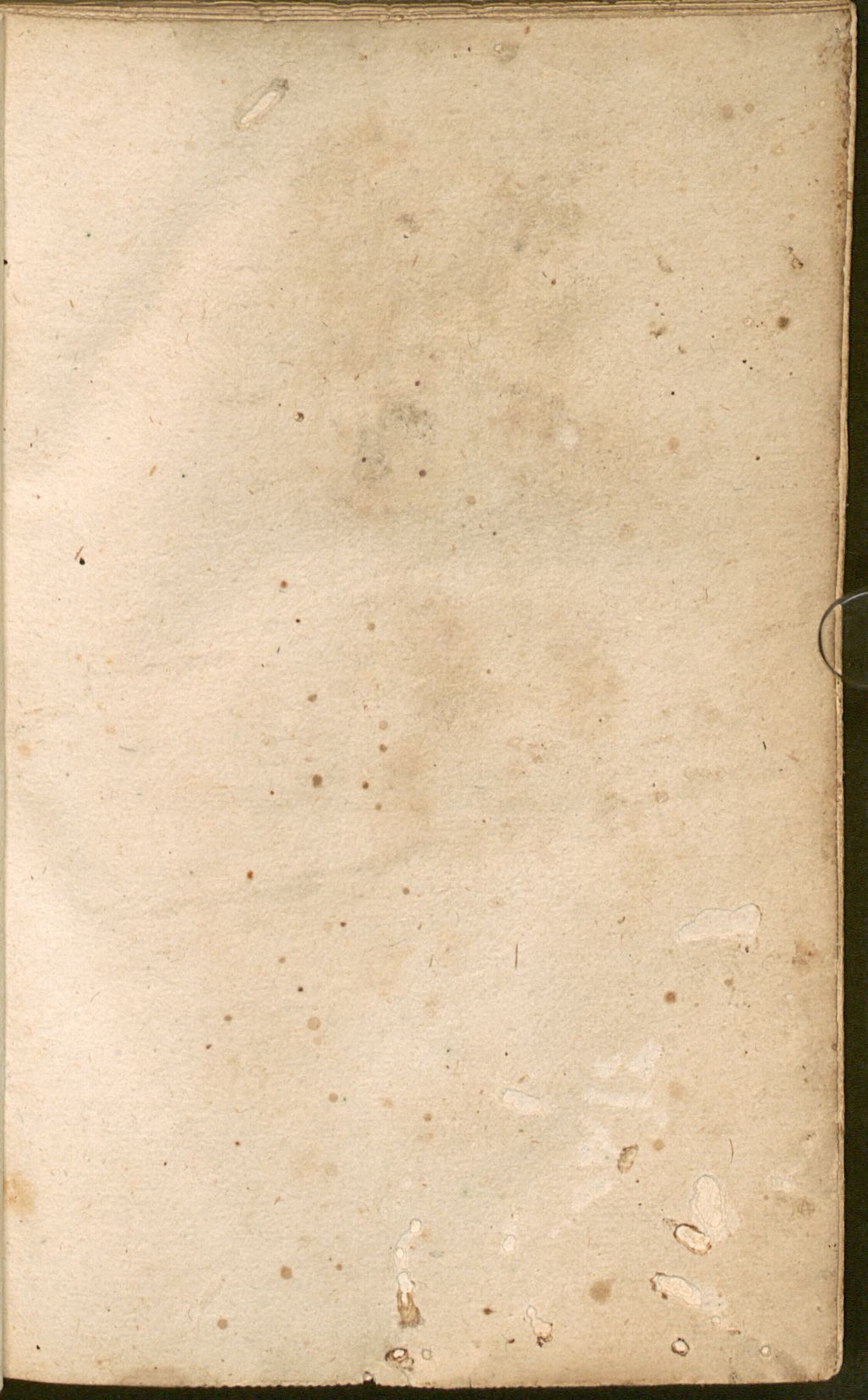 Cover of In Danielem Prophetam Commentarius