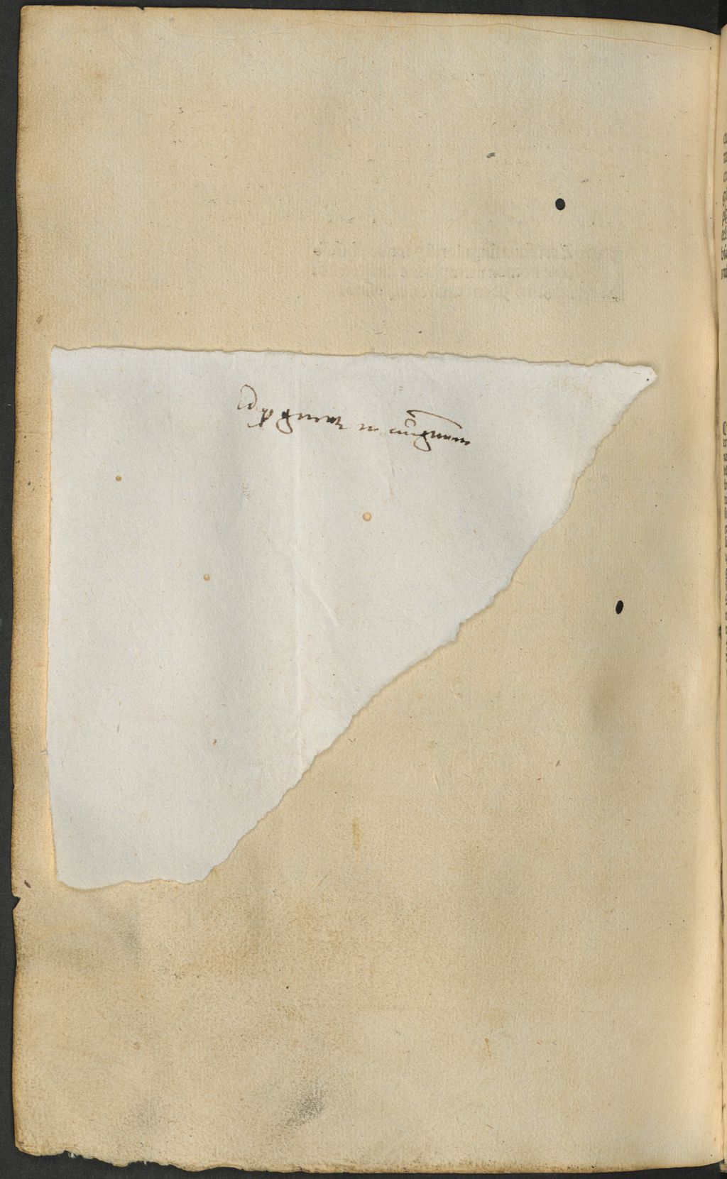Cover of Expositio super tota philosophia naturali nec non Metaphysica Aristotelis cum textu