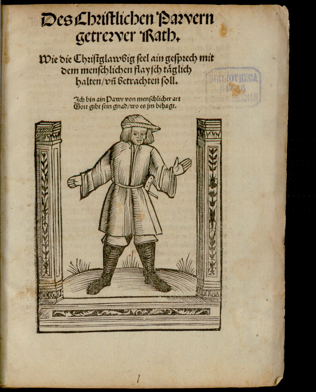 Cover of Des Christlichen Pawern getrewer Rath