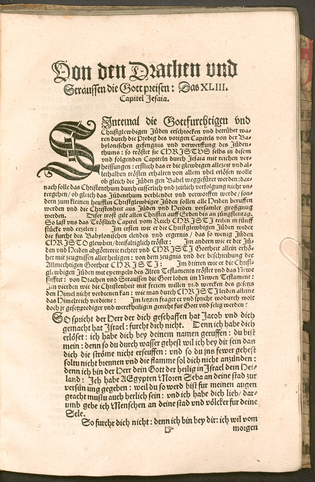 Cover of Von Drachen Und Schreibern die sich mit irer hand zuschreiben dem verborgen Gott Jesu Christo