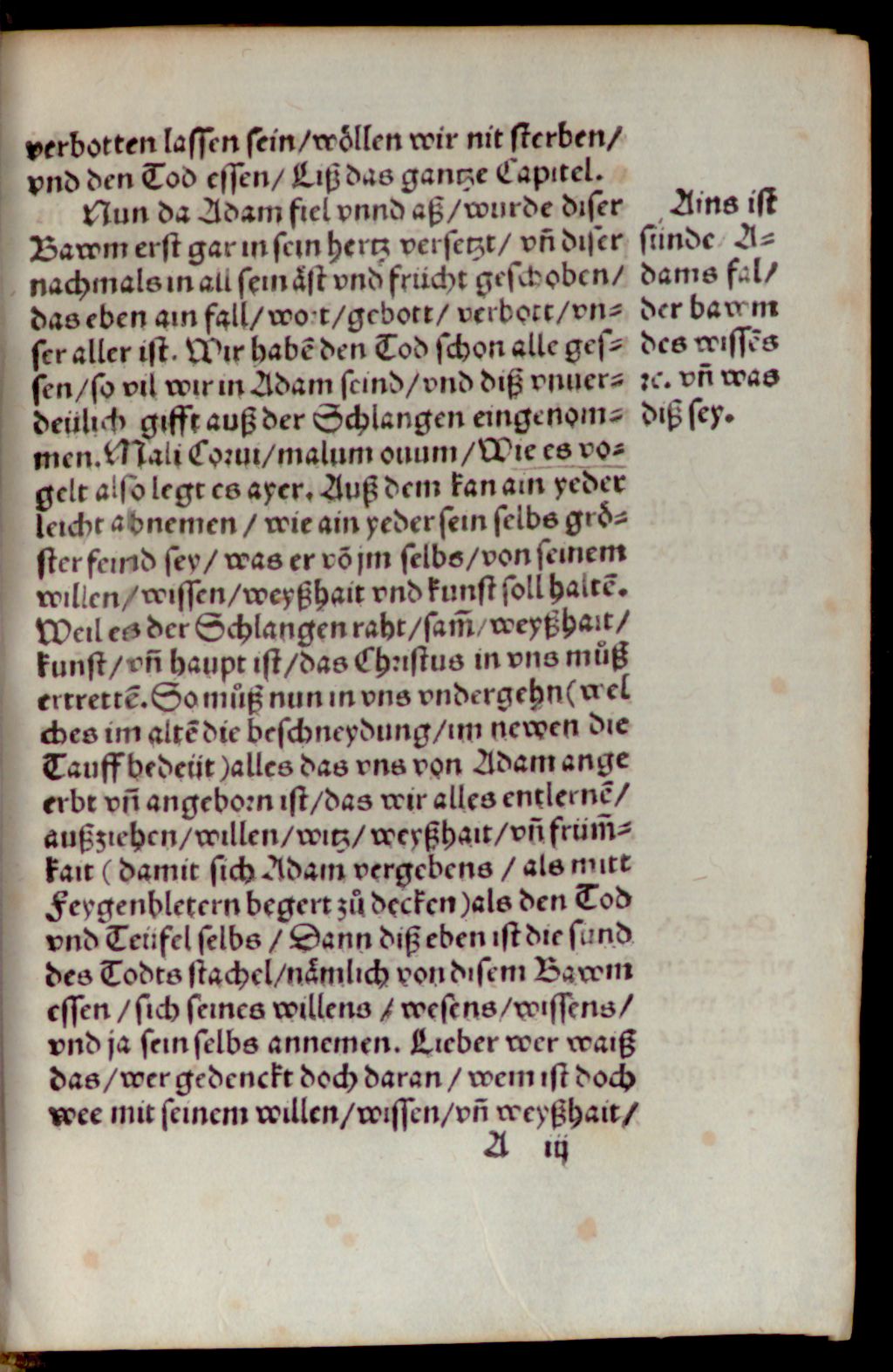 Cover of Von dem Bawm des Wissens guts vnnd böses, Dauon Adam den Tod hat gessen, vn[d] noch heüt alle Menschen den tod essen