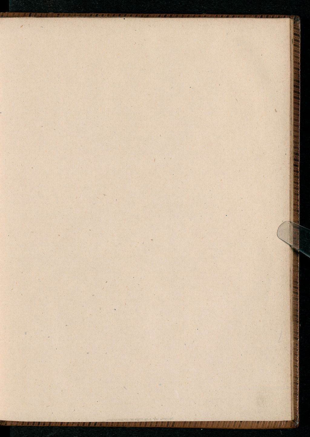 Cover of Eyn ausztzug etlicher Practica und Propheceyen auff vergangne unnd tzukunfftige Jar, Sybille, Brigitte, Cirilli, Joachim des Abtes, Methodii und bruder Reinharts, wirt weren bis auff das M.D.LXXXI. Jar