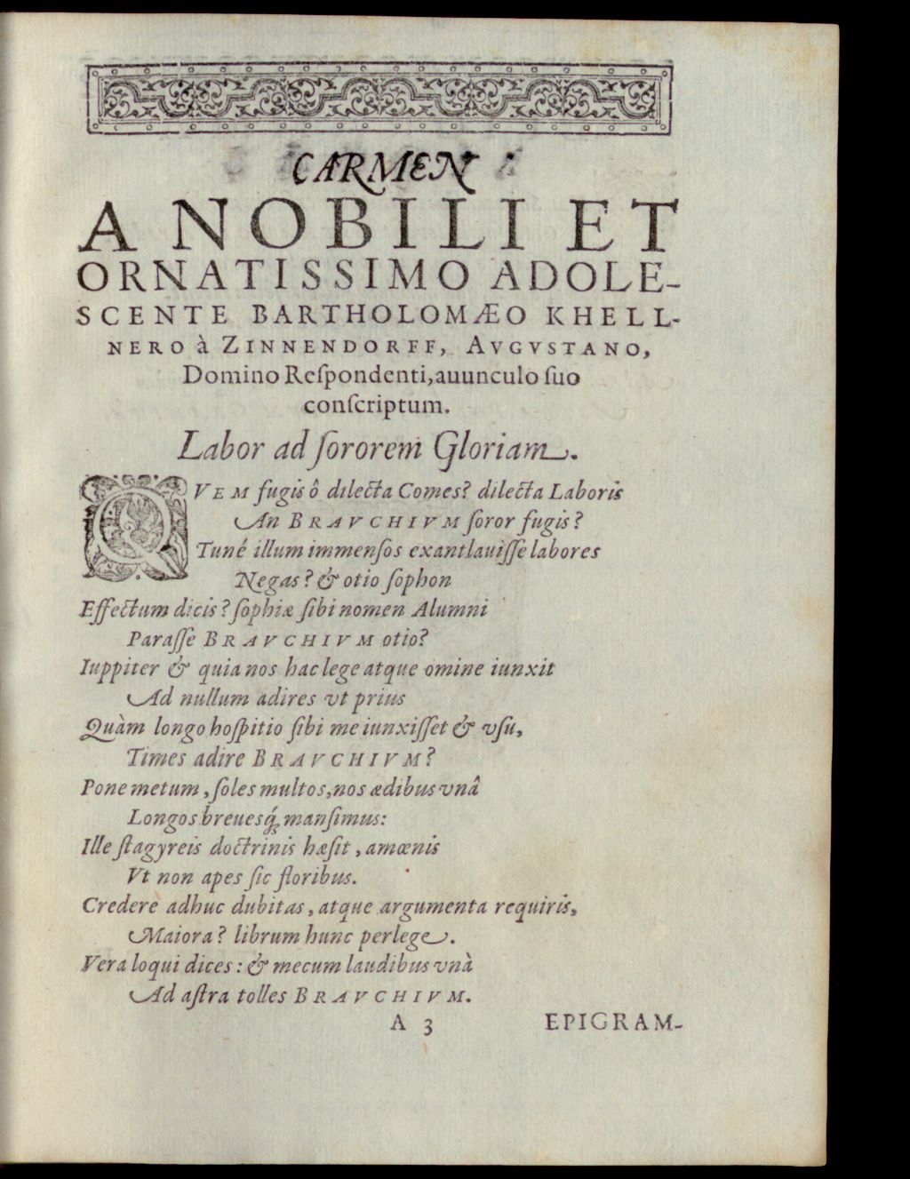 Cover of Theoremata metaphysica , physica et logica