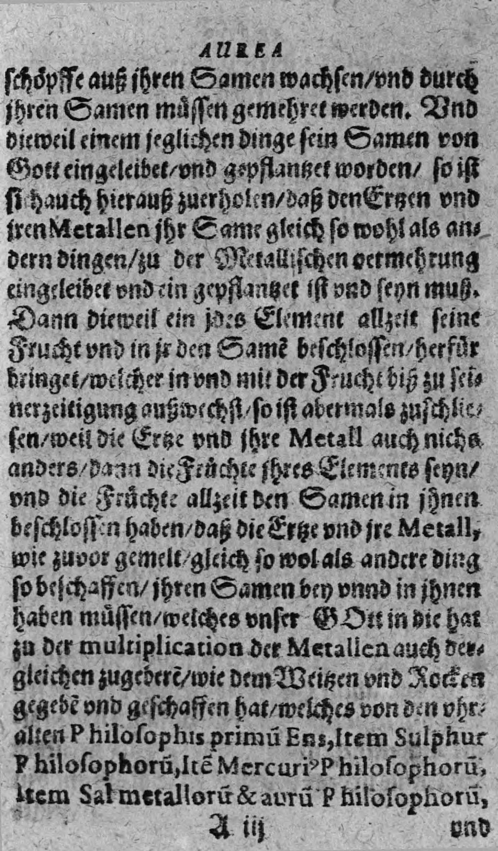 Cover of Theoria & Practica Arboris Avreae & Argenteae