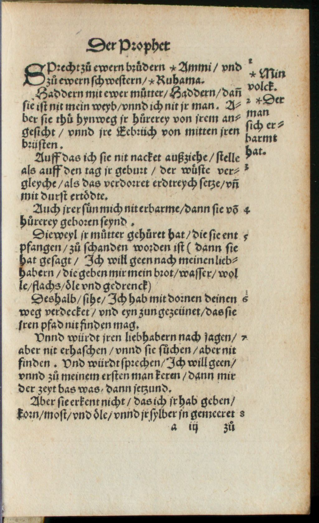 Cover of Hosea der Prophet der Kirchen zu Straszburg