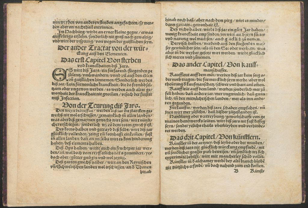 Cover of Praktica Teutsch auff das 1535 Jar