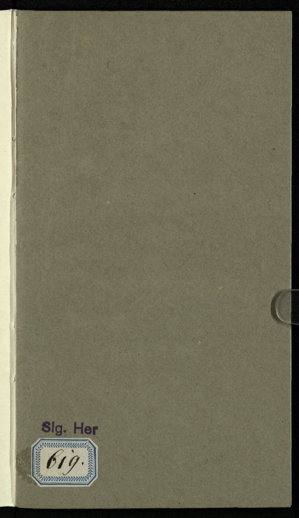 Cover of Der rosenfarbene Geist oder: Liebesqualen eines Hagestolzen