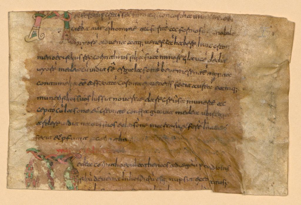 Cover of Fabulae (fragmenta) - BSB Clm 6437