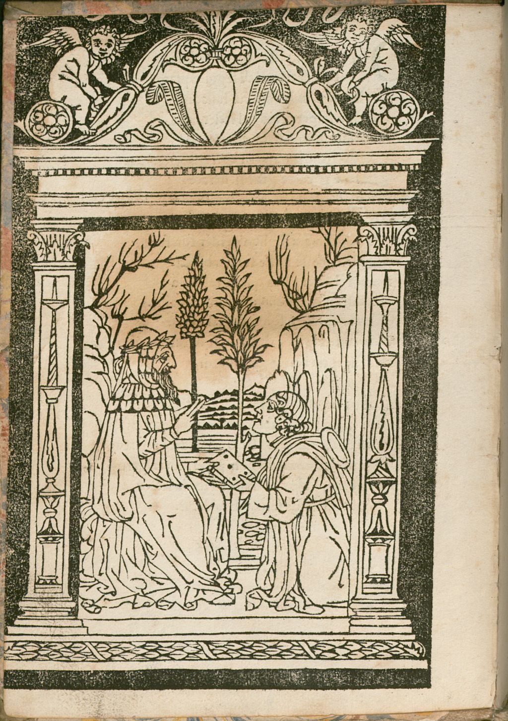 Cover of Aesopi fabulae