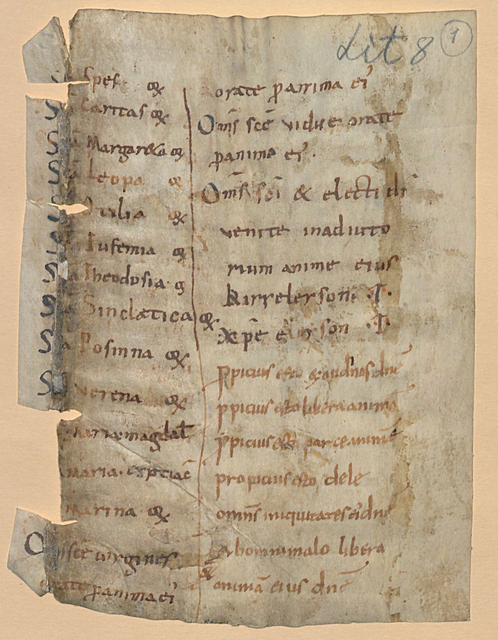 Cover of Rituale - BSB Clm 29325(1