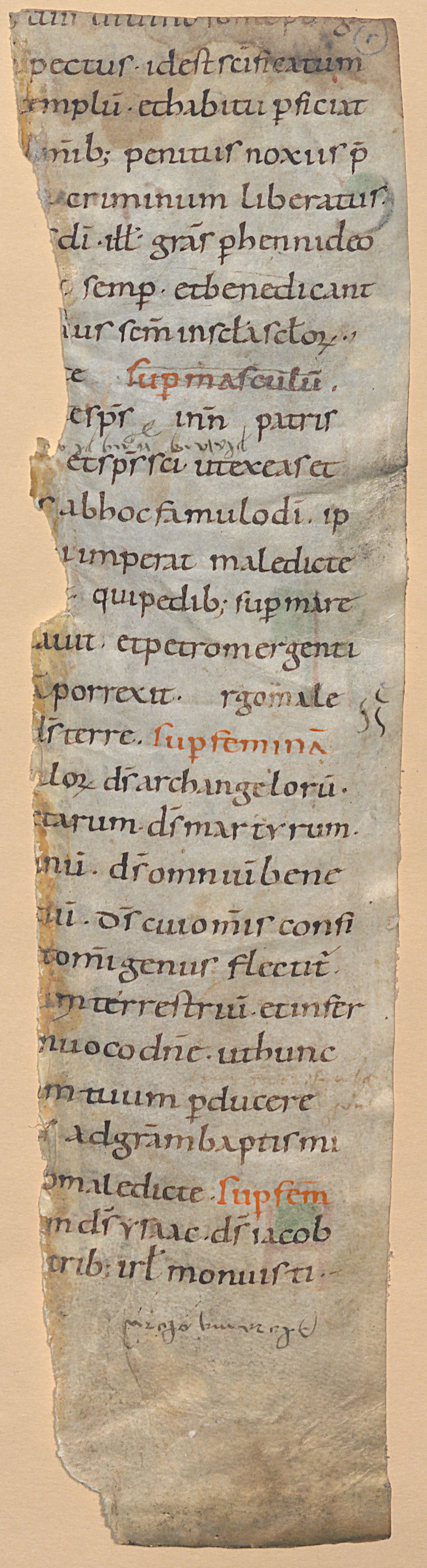 Cover of Rituale - BSB Clm 29325(2