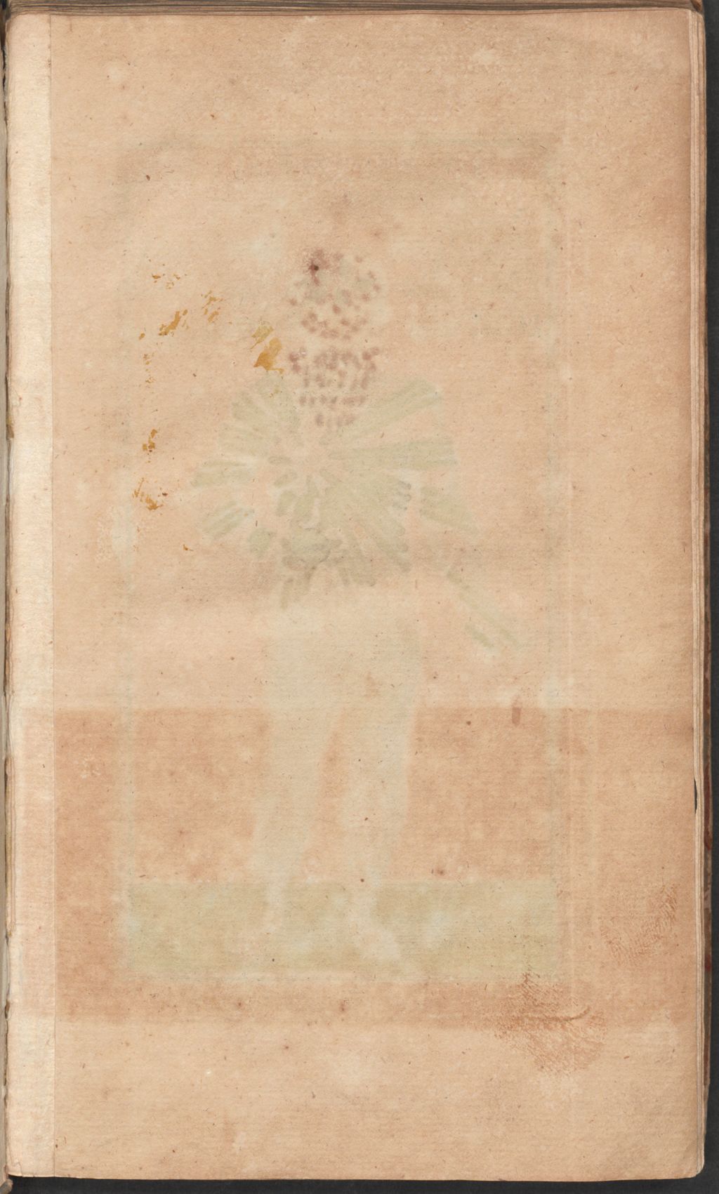 Cover of Eine kurtze Eröffnung und Anweisung Der dreyen Principien Und Welten Im Menschen