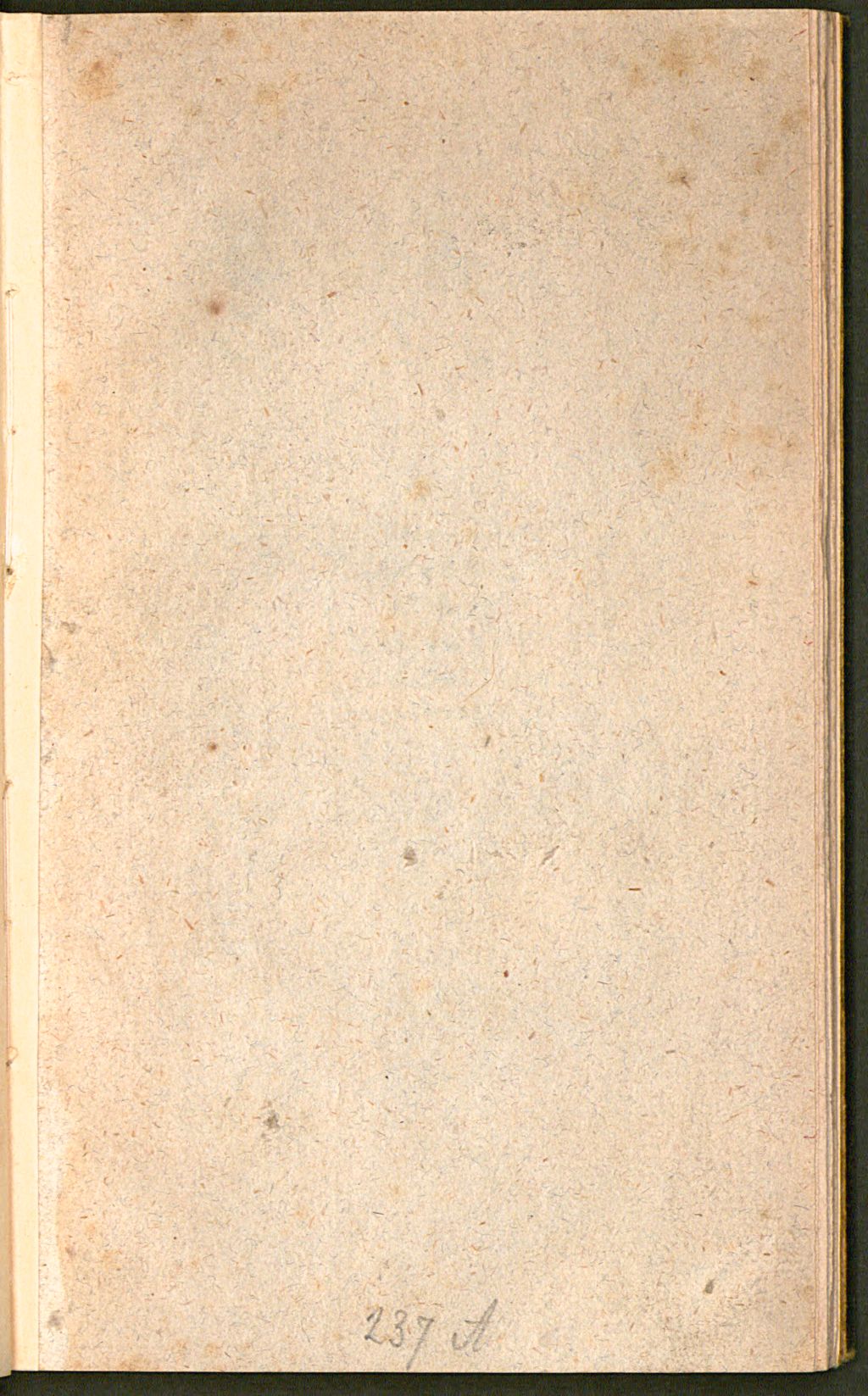 Cover of Die Von Aberglauben Vanitaeten und Teuscherey gereinigte Chiromantia und Physiognomia Christian Schalitzens LL. AA. Cultoris