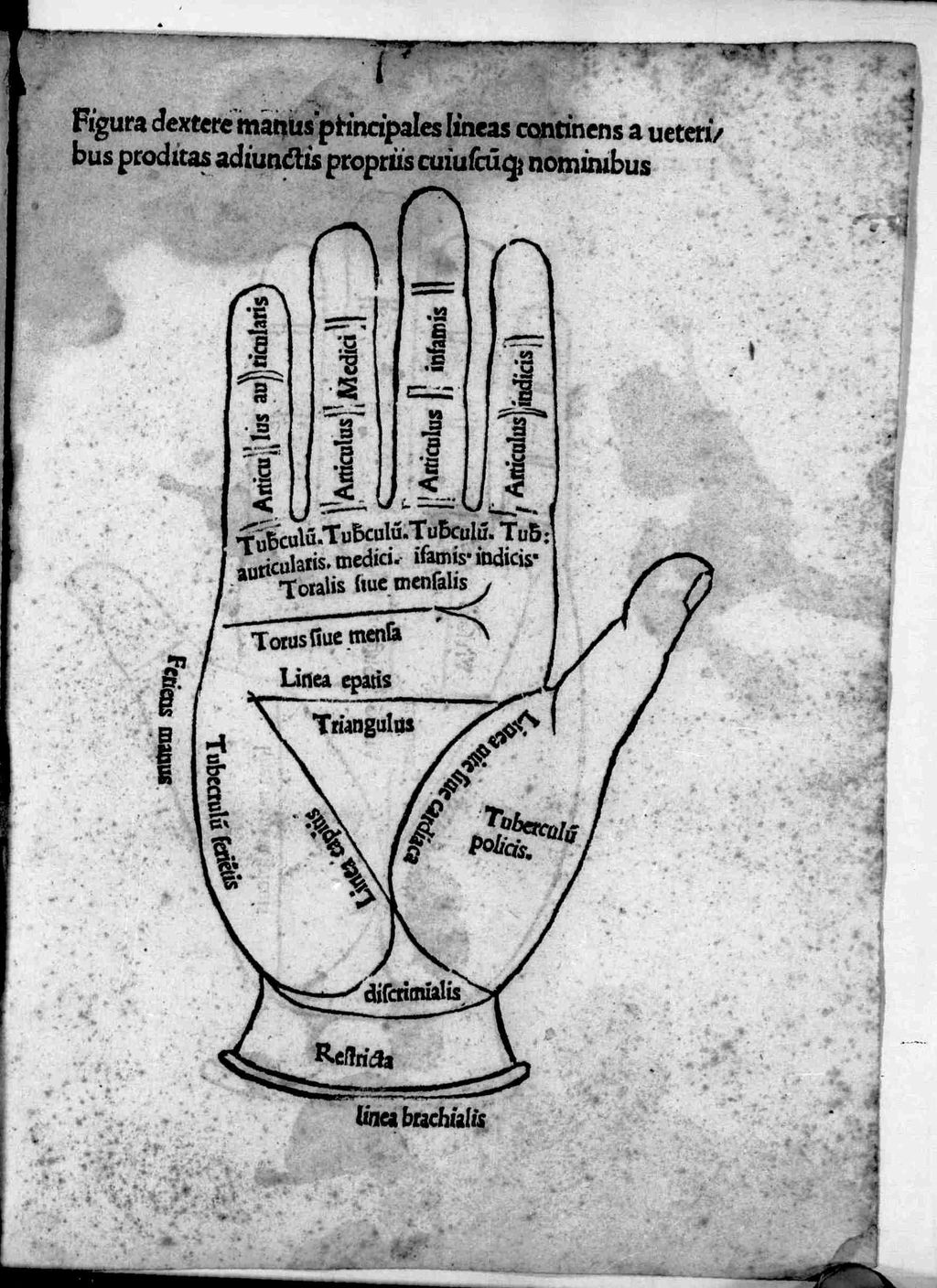Cover of Geomantie - BSB Cgm 987