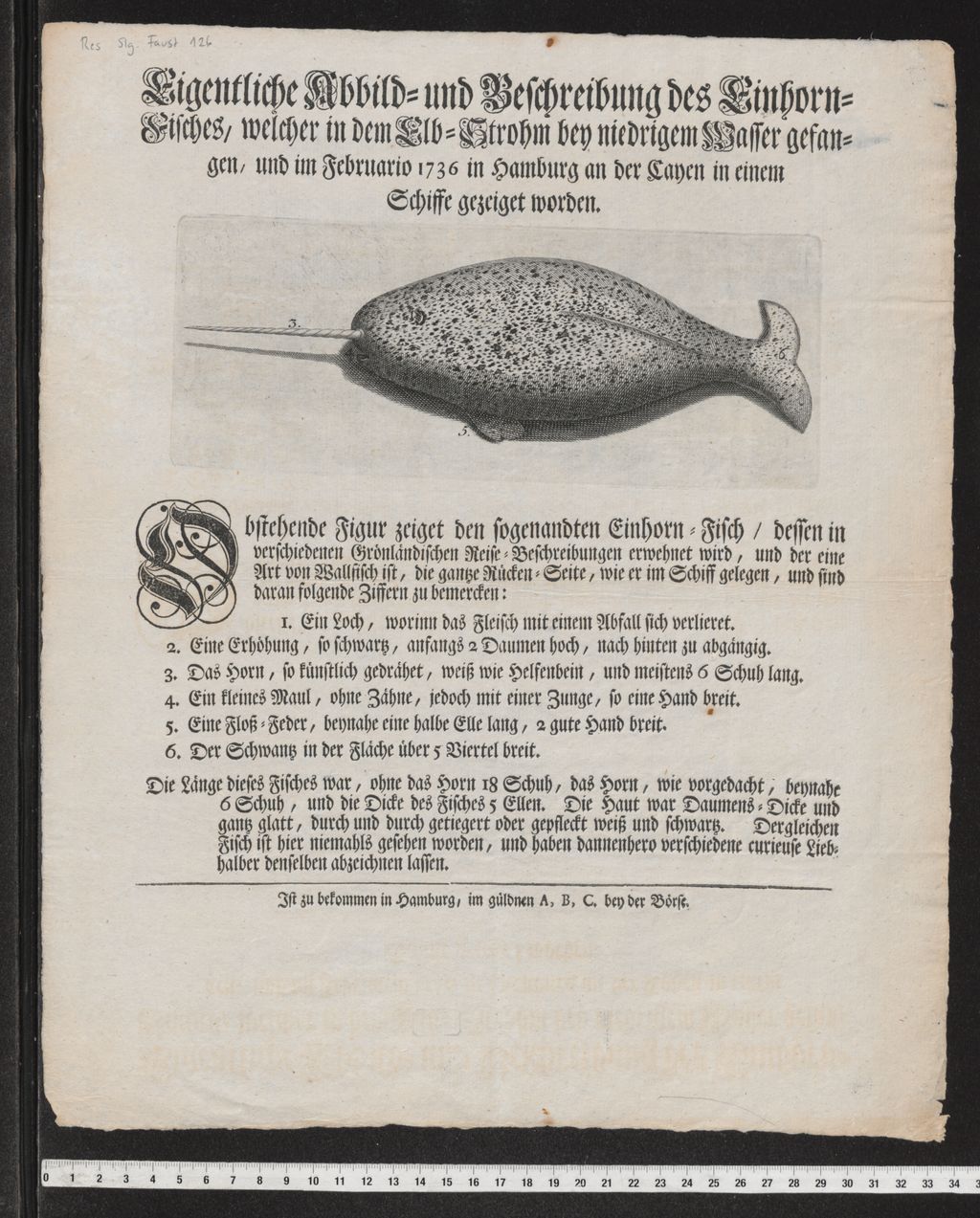 Cover of Eigentliche Abbild- und Beschreibung des Einhorn -Fisches, welcher in dem Elb-Strohm bey niedrigem Wasser gefangenm und im Februario 1736 in Hamburg an der Cayen in einem Schiffe gezeiget worden