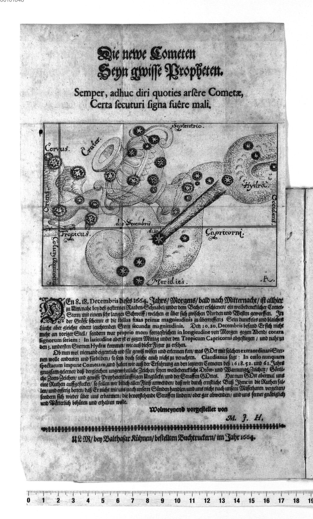 Cover of Die newe Cometen Seyn gwisse Propheten