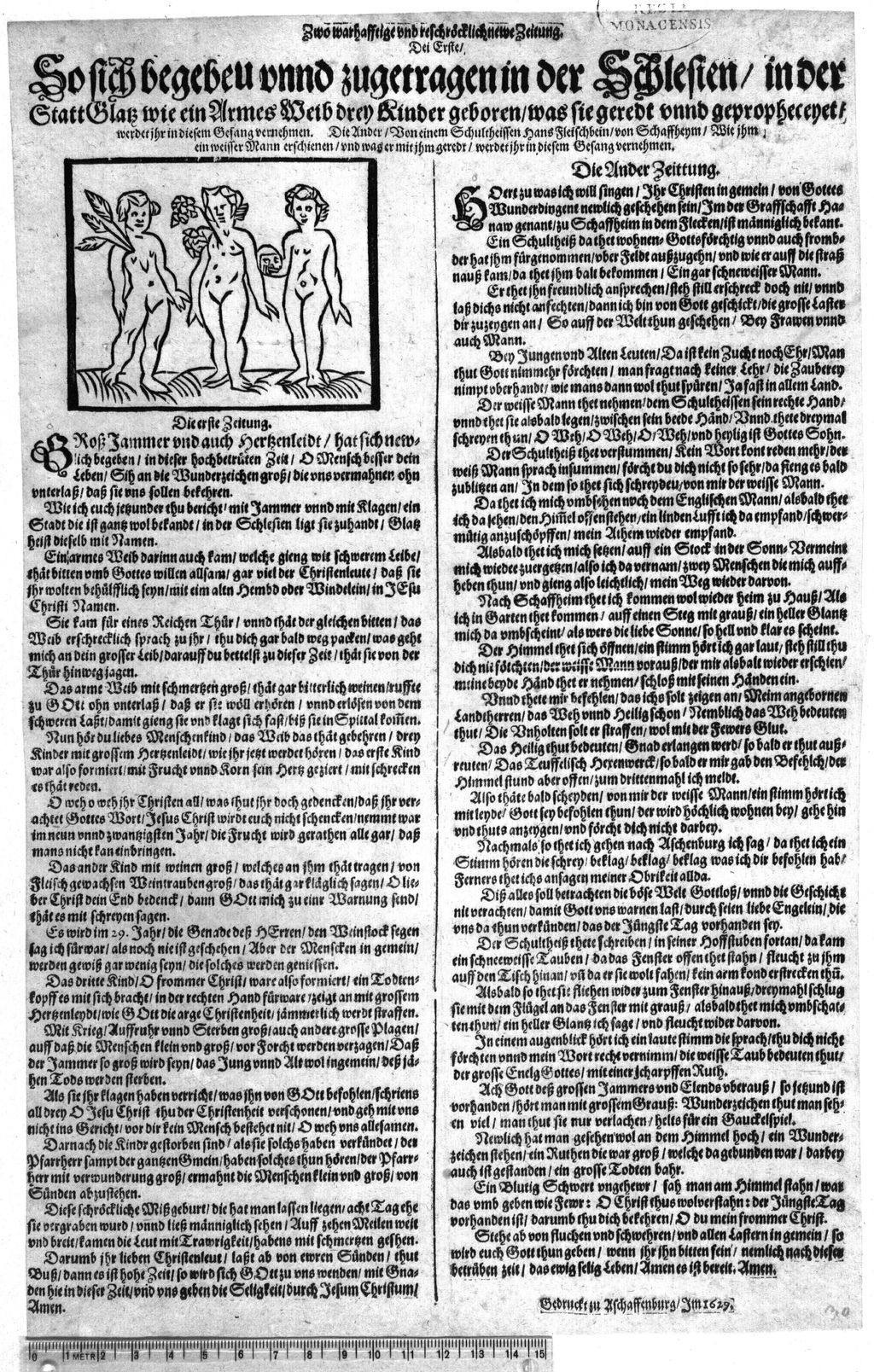 Cover of Zwo warhafftige und reschröcklich [!] newe Zeitung