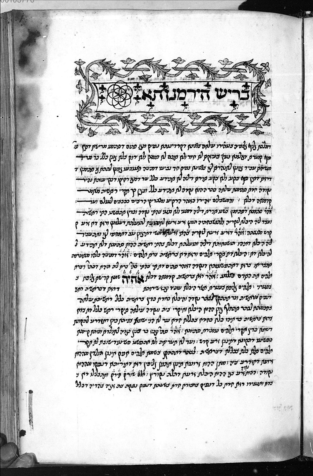 Cover of Teile des Zohar und der Supplemente - BSB Cod.hebr. 20