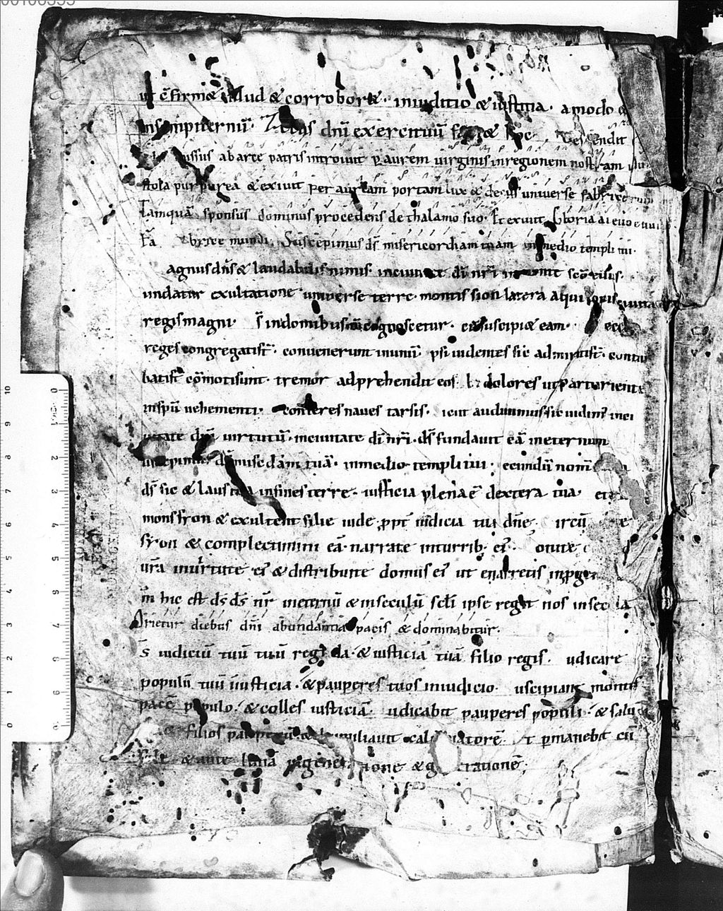 Cover of Plenarium - BSB Clm 3915