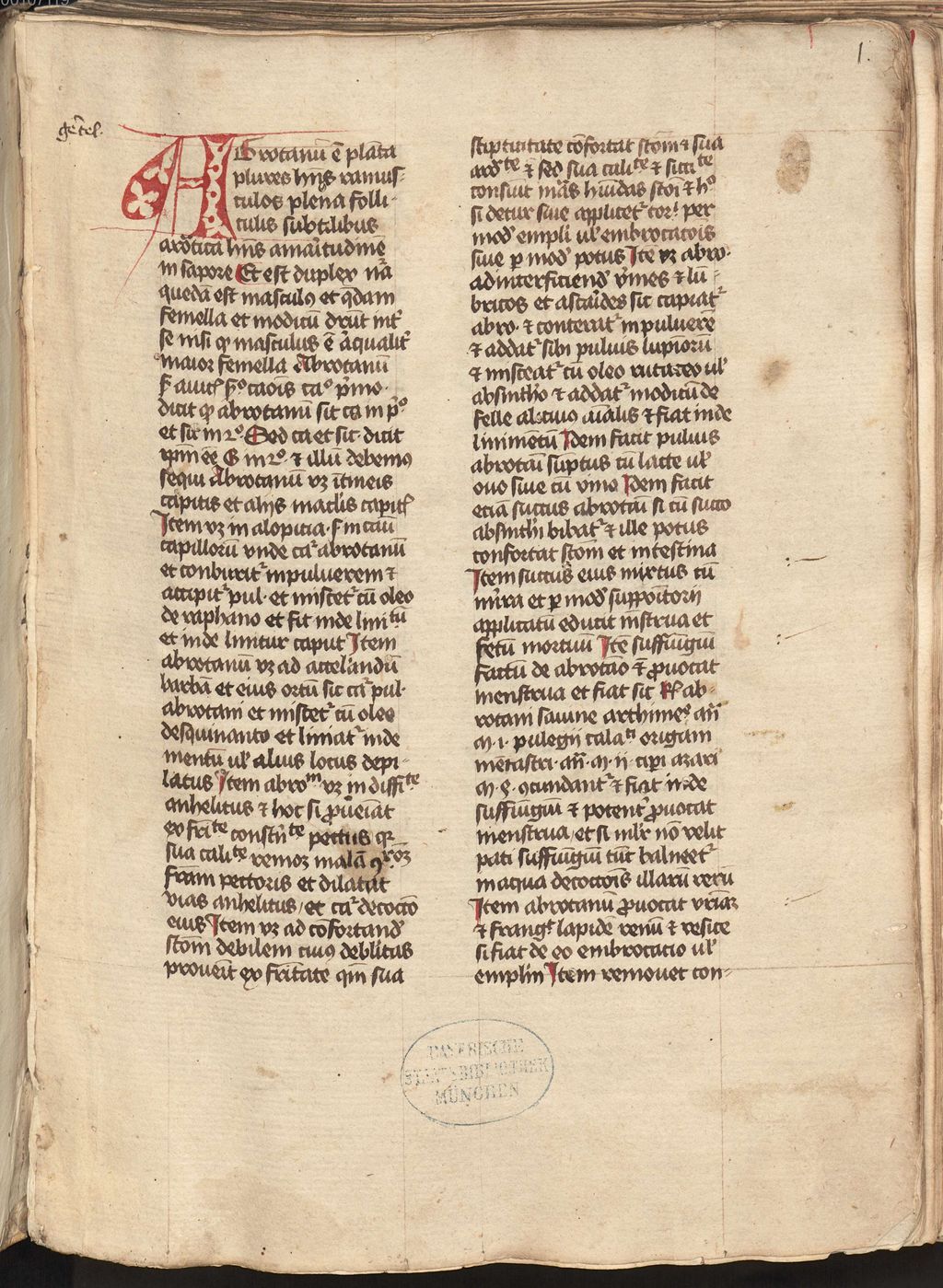 Cover of Onomasticon de simplicibus - BSB Cgm 662