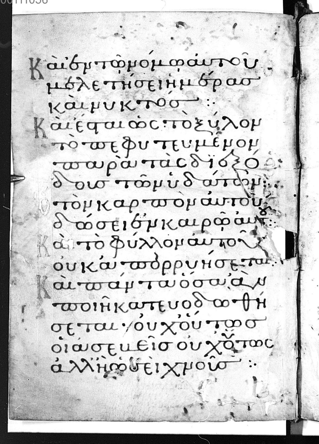 Cover of Psalterium - BSB Cod.graec. 251