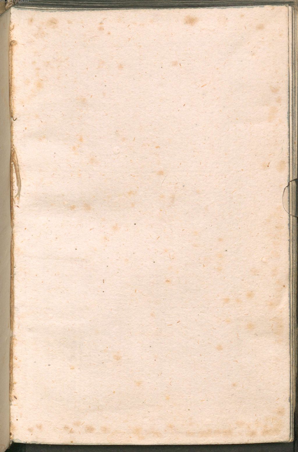 Cover of Regel - Dombibliothek Freising Alto MS Z 00209