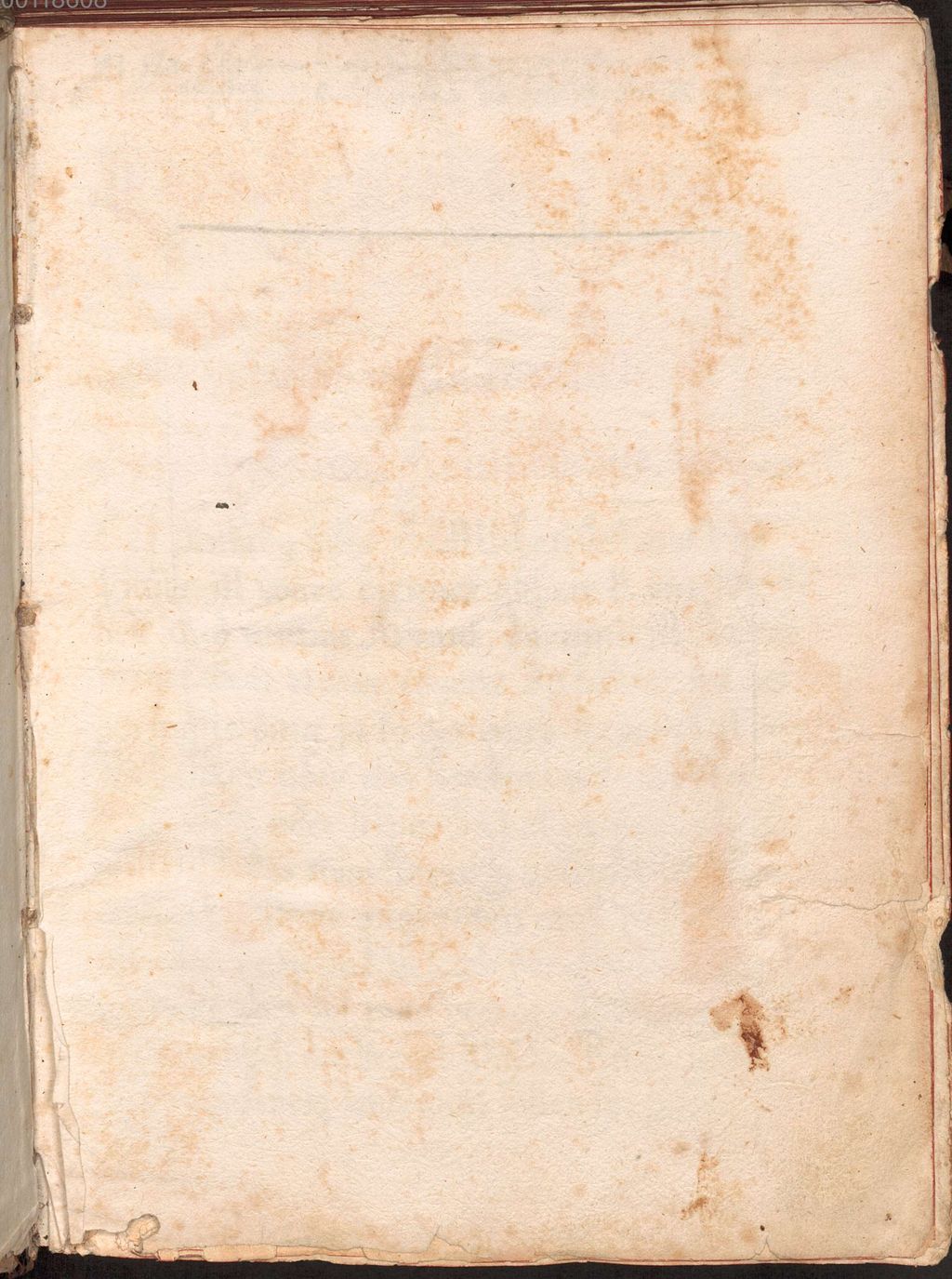 Cover of Regel - Dombibliothek Freising Alto MS Z 00214