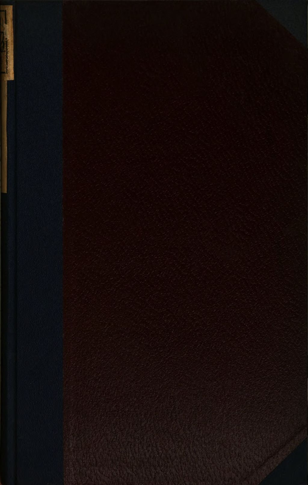 Cover of Finnische Runen