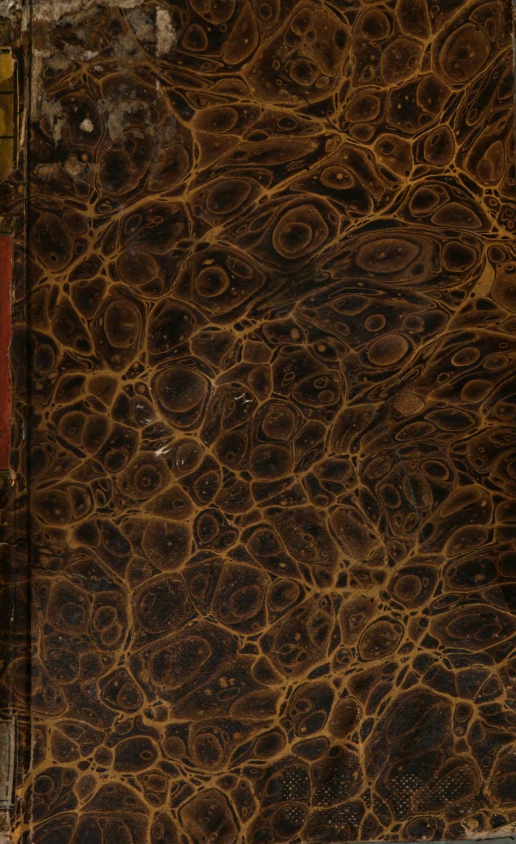 Cover of Das Orakel der Liebe