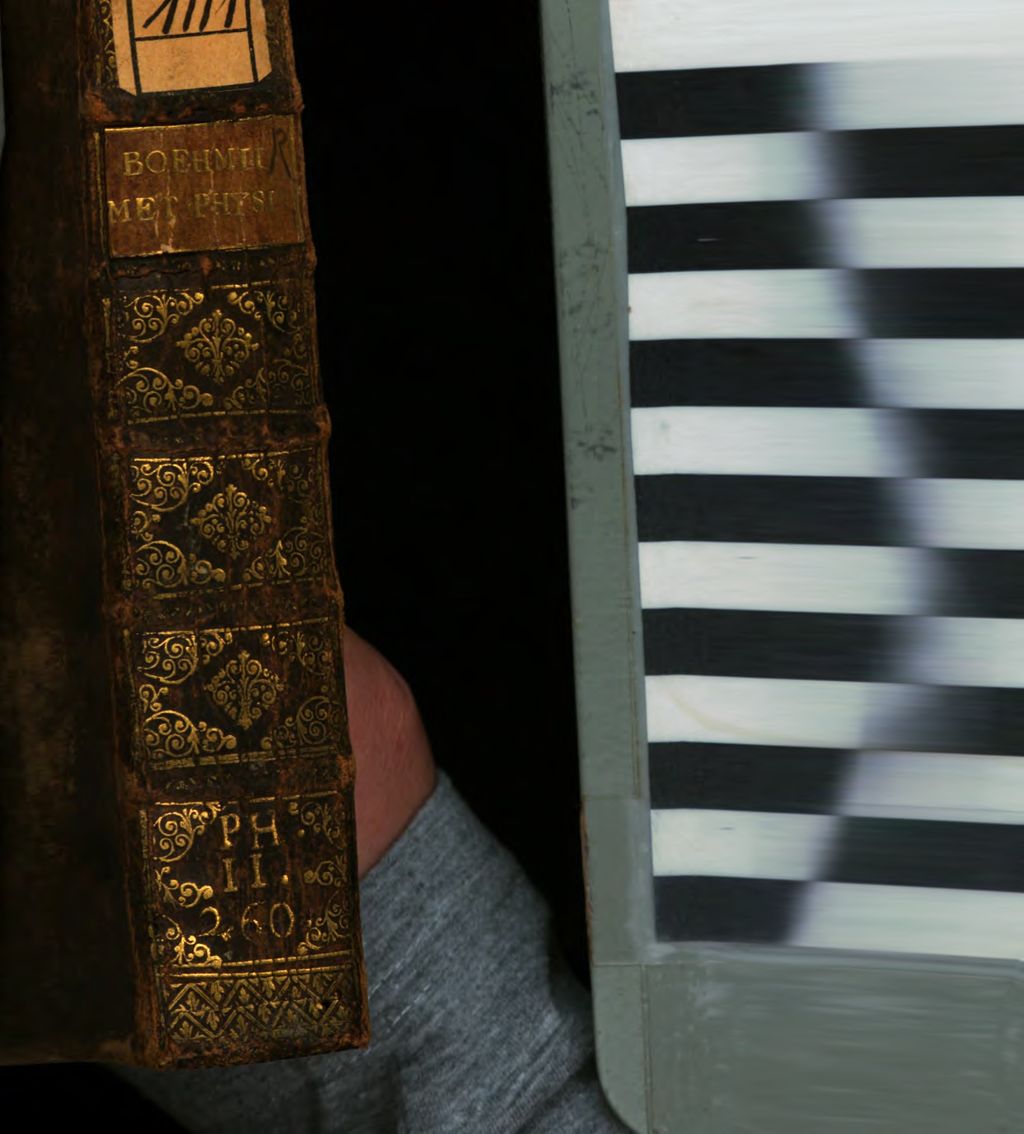 Cover of Metaphysica In Vsvm Avditorii Svi Ordine Scientifico Conscripta