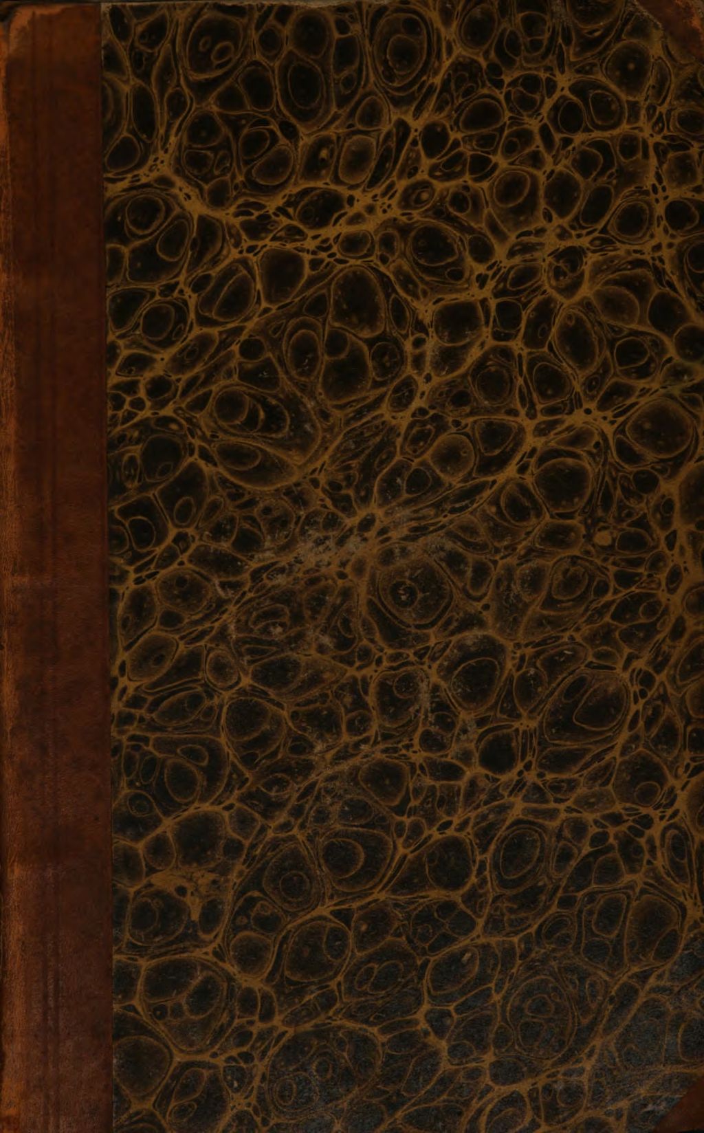 Cover of Still-Leben, oder Ueber die Unsterblichkeit der Seele