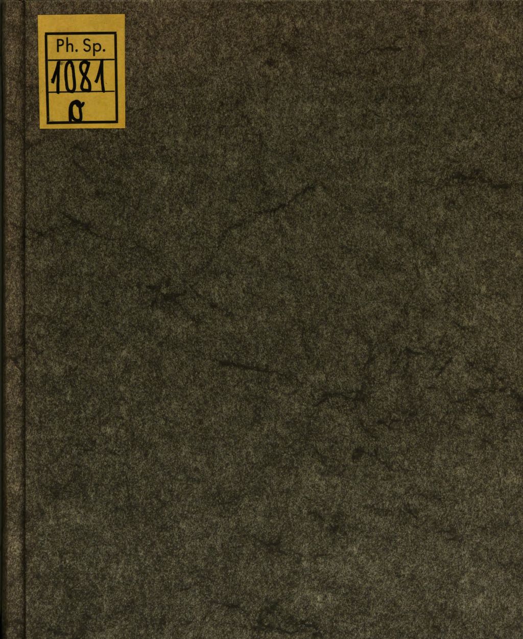 Cover of Positiones Ex Metaphysica