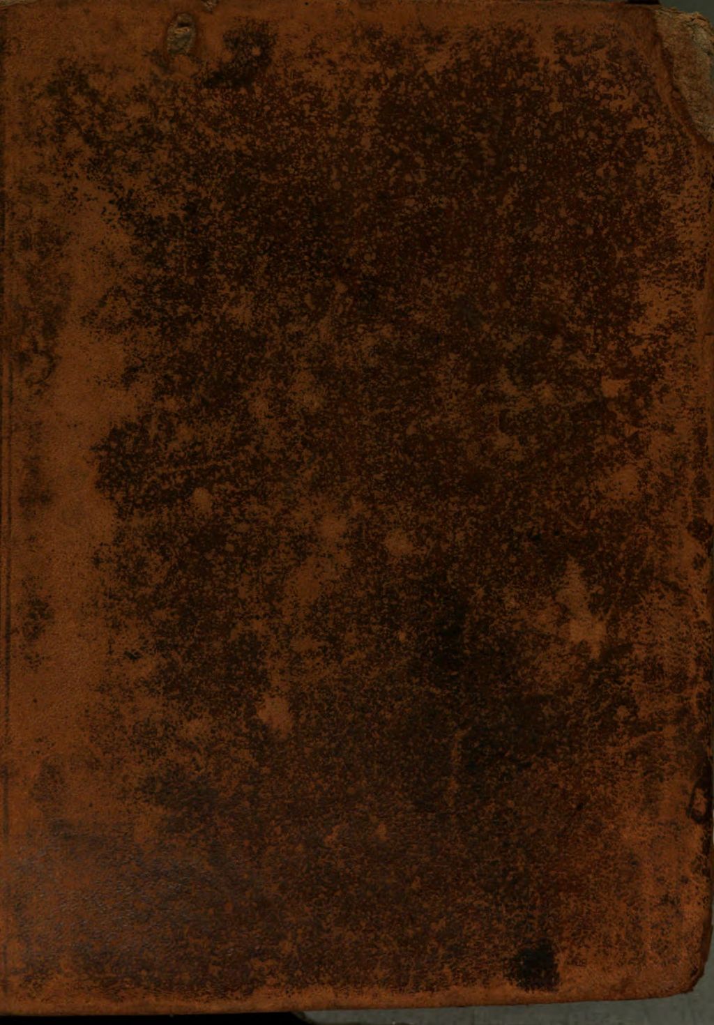 Cover of Die bezauberte Welt