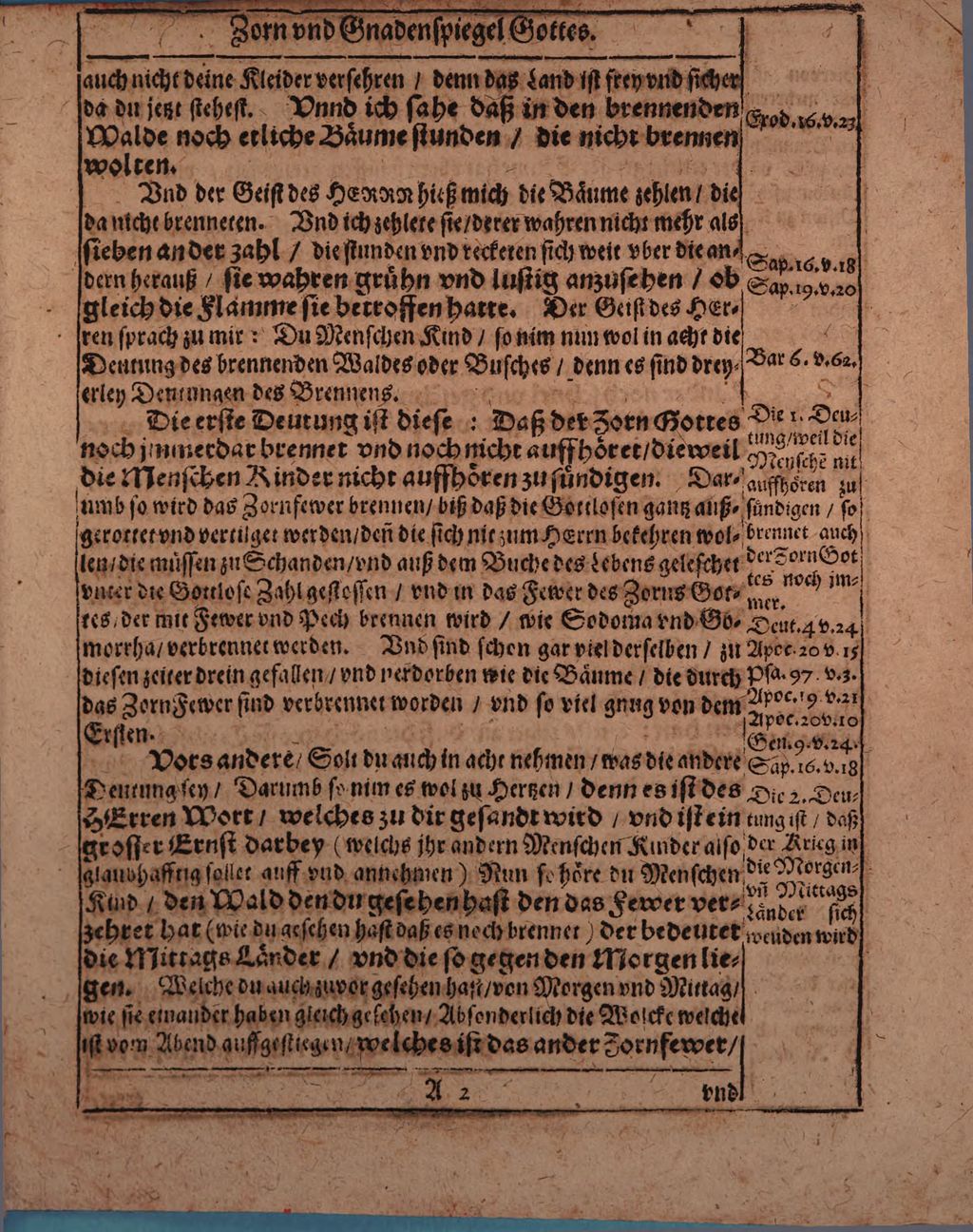 Cover of Eine warhafftige Vision oder Gesicht