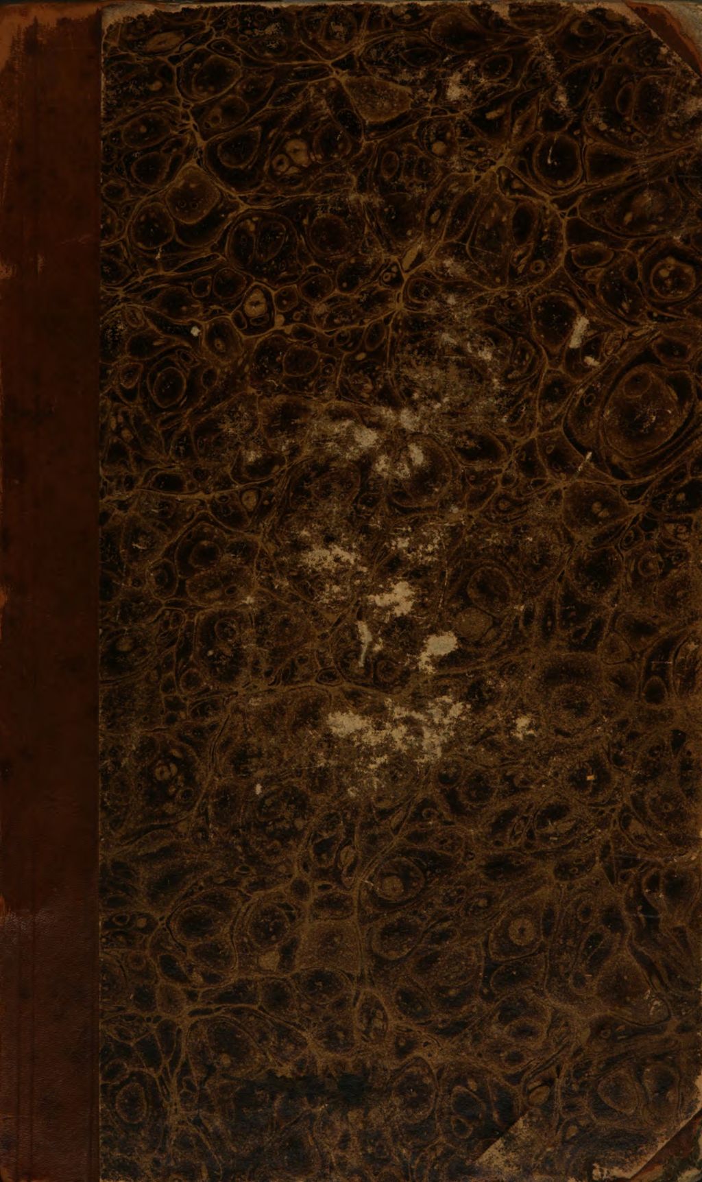 Cover of Paracelsus