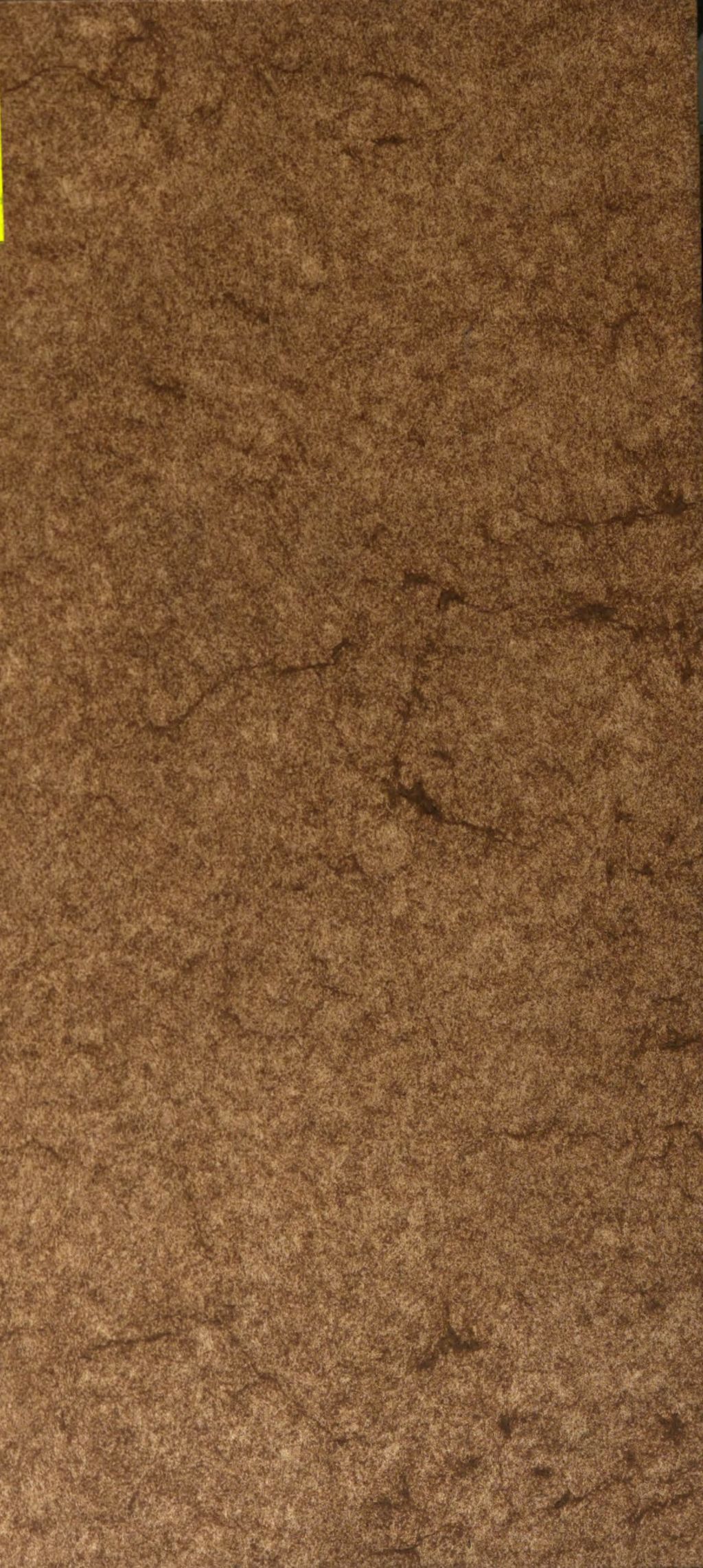 Cover of Der Cultus des Genius, mit besonderer Beziehung auf Schiller und sein Verhältniß zum Christenthum