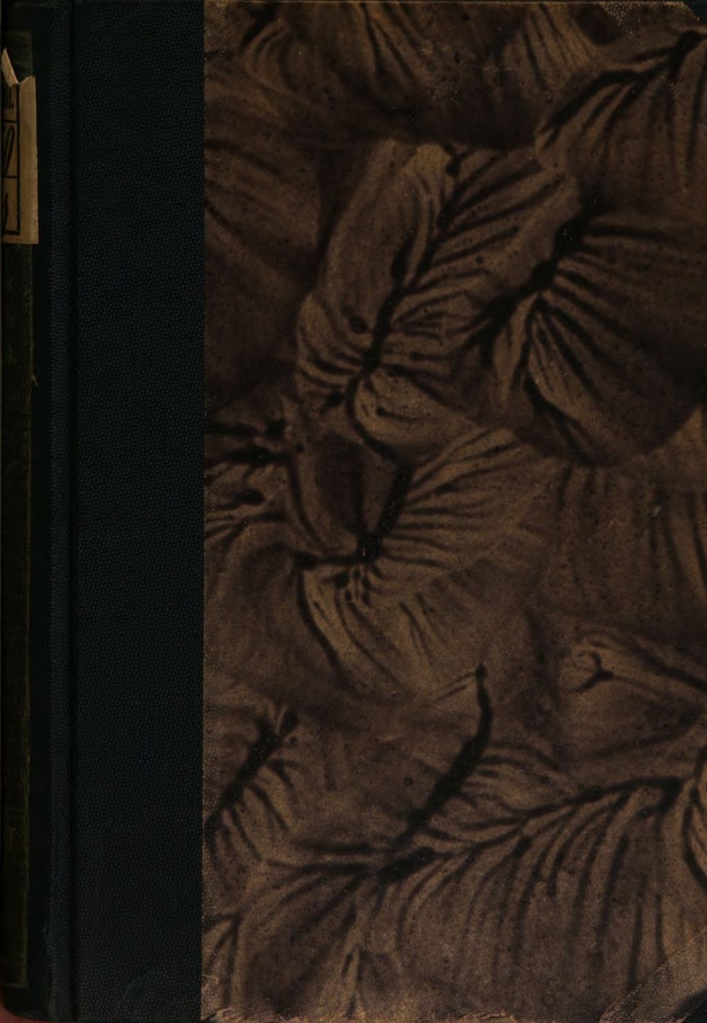 Cover of Poetische Erzählungen nach altbretonischen Liebes- Sagen