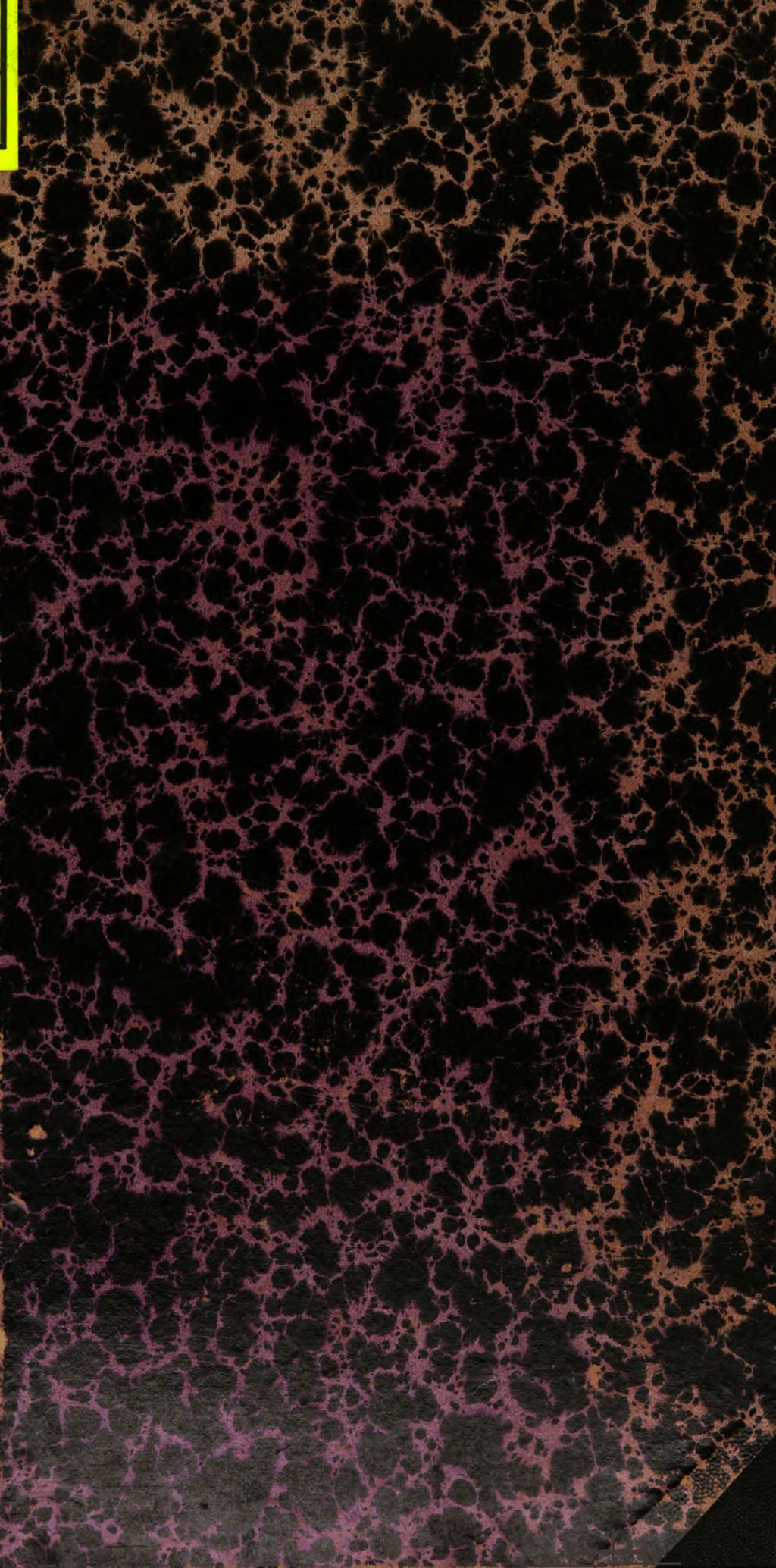 Cover of Orientalien