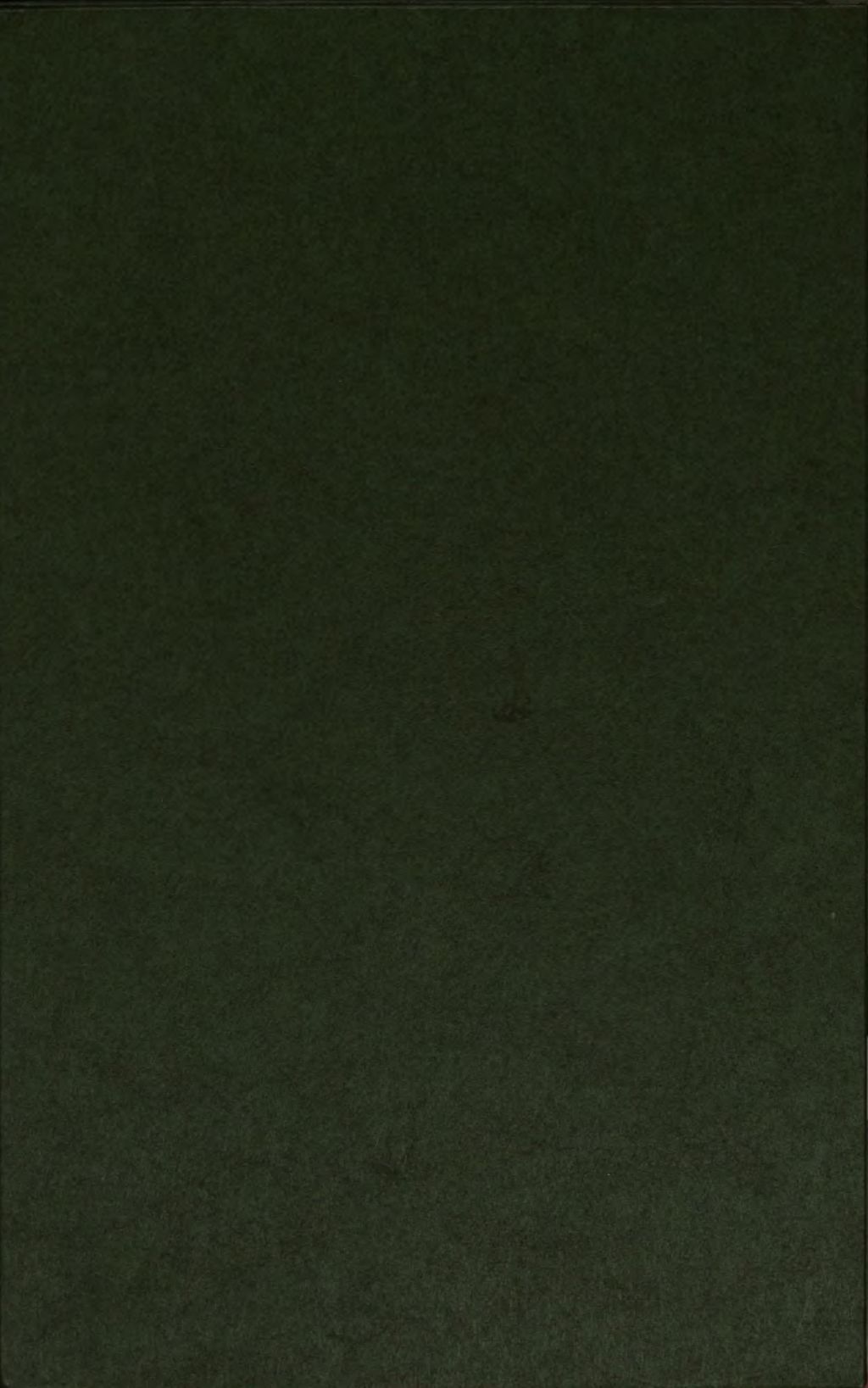 Cover of Das Hünengrab