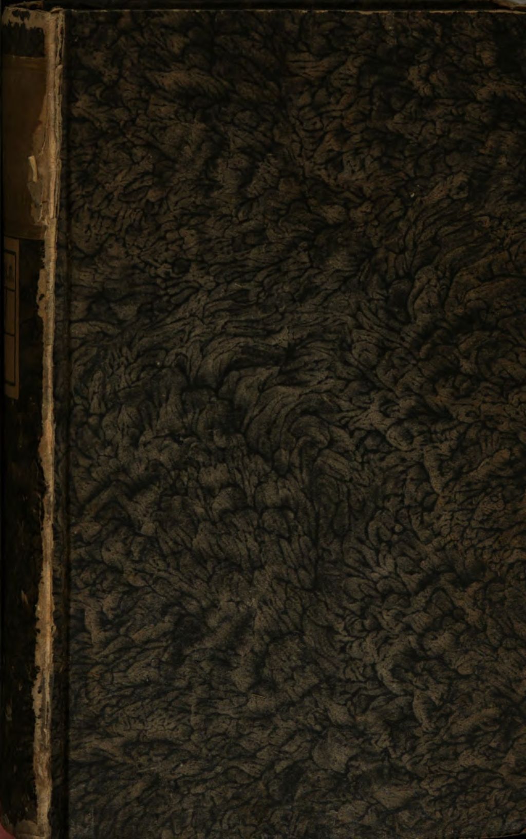 Cover of Das Entlarvete Idolum der Wünschel-Ruthe, Oder Gründliche Untersuchung, was bißhero Historice mit derselben passiret, ob sie Physice in der Natur gegründet, und wie fern Moraliter darnach zu operiren sey?